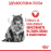 Royal Canin Dental - Суха храна за поддържане на добра устна хигиена и намаляване образуването на зъбен камък при котки